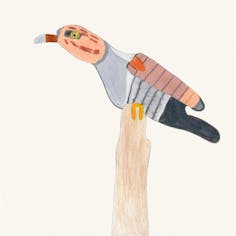 イモガイ カッコウ